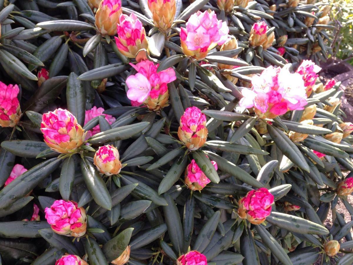 Arrive & Relax - Volkmar * Düsseldorf