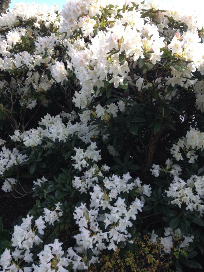 Accommodatie bij particulieren Arrive & Relax - Volkmar