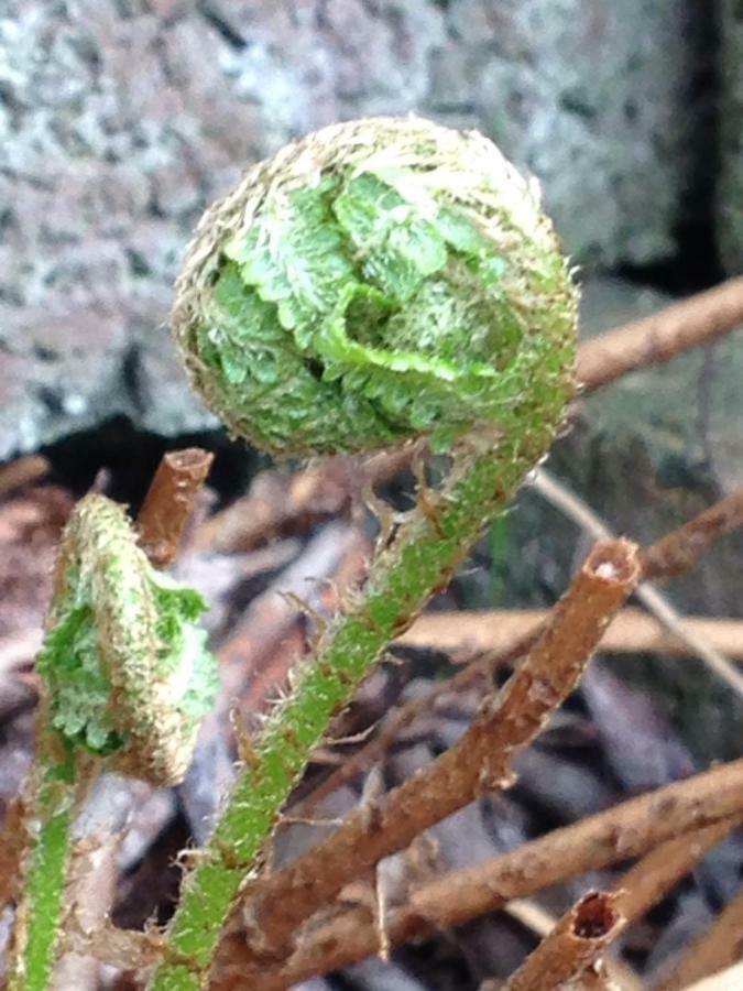 Accommodatie bij particulieren Arrive & Relax - Volkmar